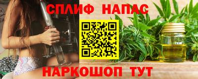 гидра Кингисепп