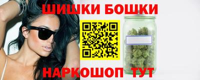 гидра Кингисепп