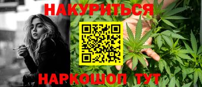 гидра Кингисепп