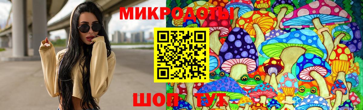 продажа наркотиков  Псилоцибиновые грибы Psilocybine cubensis  Кыштым  Вход с VPN  Псилоцибиновые грибы Cubensis 
